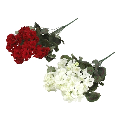 Assorted Red and White Geranium Pick 18